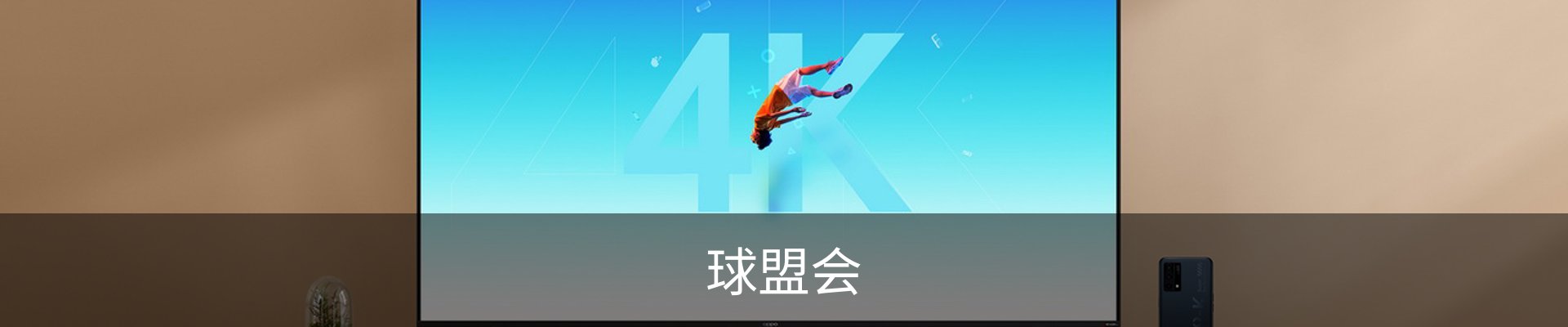 球盟会